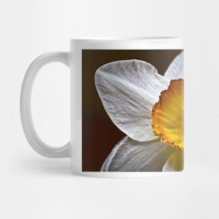 Narcissus Mug